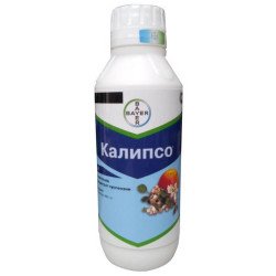 Каліпсо