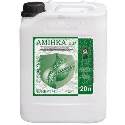 Аминка