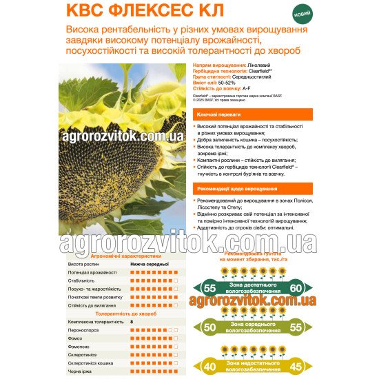 Насіння соняшника КВС Флексес КЛ – середньостиглий, чисте поле / clearfield, олійність 50–52%