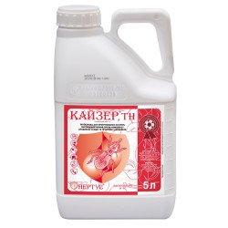 Кайзер