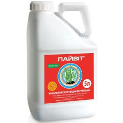 Лайвіт