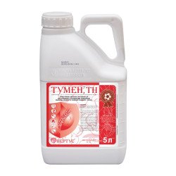 Тумен