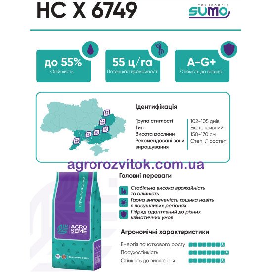 НСХ 6749 соняшник