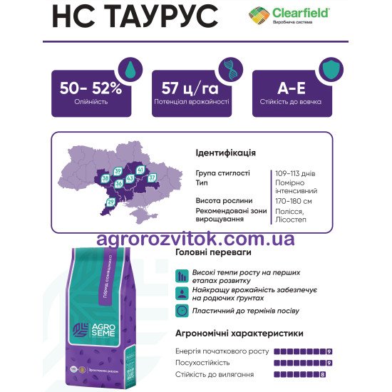 Соняшник Таурус — насіння (Clearfield®, NS SEME)