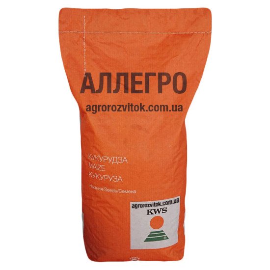 Насіння кукурудзи КВС Аллегро – ФАО 250 – зубовий – дуже швидка вологовіддача – потенціал 16 т/га