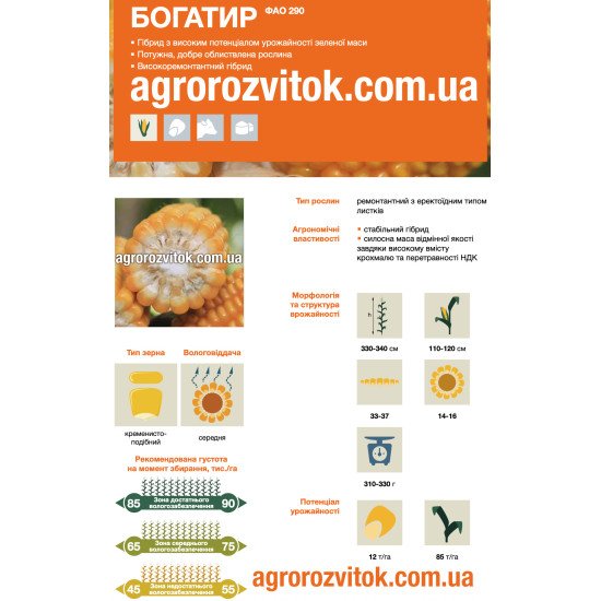 Насіння кукурудзи Богатир – ФАО 290 – кременистоподібний – середня вологовіддача – потенціал 12 т/га – зелена маса 85 т/га