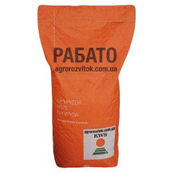 КВС Рабато