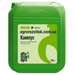 Кампус