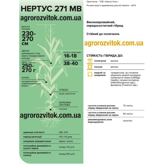 Насіння кукурудзи НР 271 МВ – ФАО 260–270, Вегетація 107–110 діб, зерно/силос