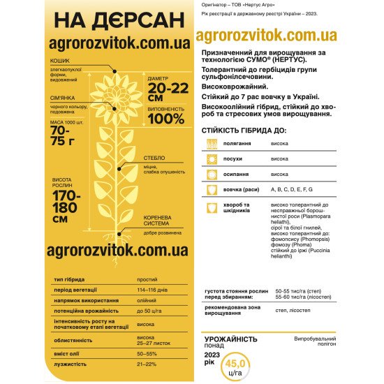Насіння соняшника НА Дєрсан – Технологія СУМО (під Гранстар), 114–116 діб, олійність 50–55%