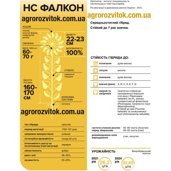 Насіння соняшника НС Фалкон – Класична технологія, 102–107 діб, олійність 48–50%