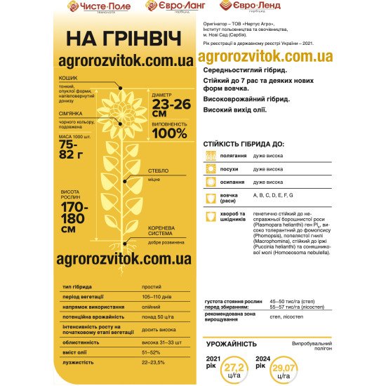 Насіння соняшника НА Грінвіч – Чисте поле / Clearfield (під Євролайтінг), 105–110 діб, олійність 51–52%
