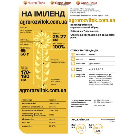 Насіння соняшника НА Іміленд – Чисте поле / Clearfield (під Євролайтінг), 114–116 діб, олійність 49–52%