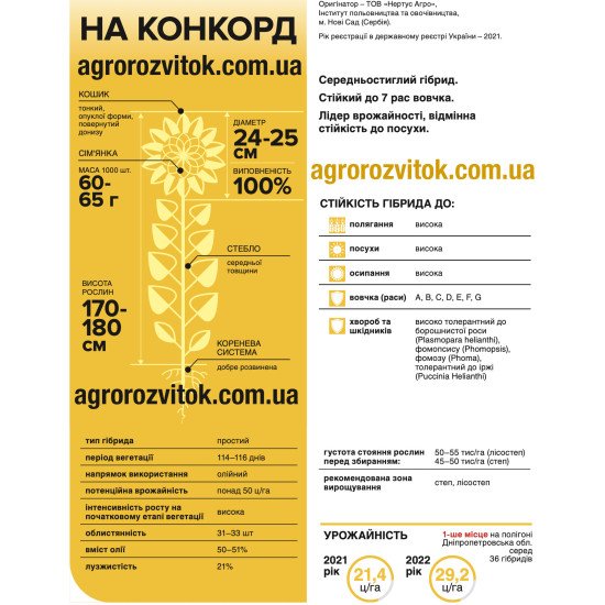Насіння соняшника НА Конкорд – Класична технологія, 114–116 діб, олійність 50–51%
