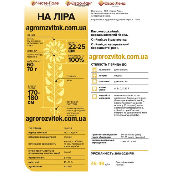 Насіння соняшника НА Ліра – Чисте поле / Clearfield (під Євролайтінг), 110–114 діб, олійність 48–50%