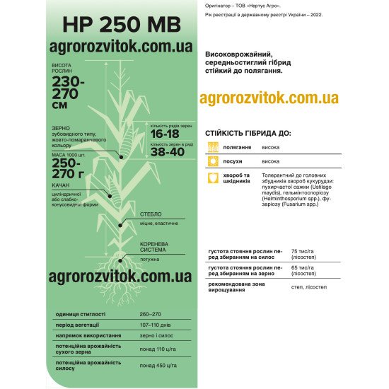 Насіння кукурудзи НР 250 МВ – ФАО 260–270, 107–110 діб, зерно/силос