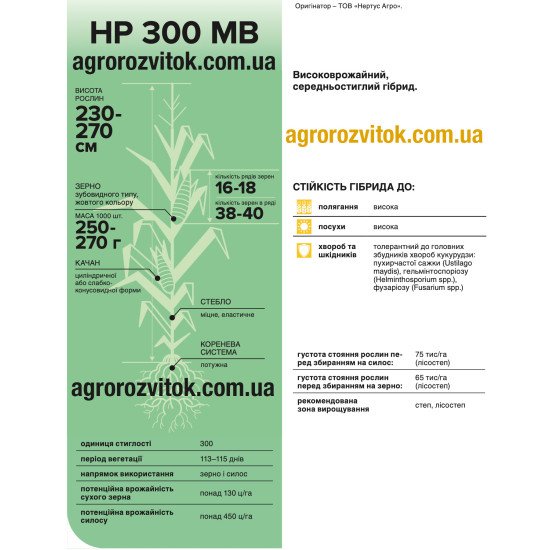 Насіння кукурудзи НР 300 МВ – ФАО 300, 113–115 діб, зерно/силос