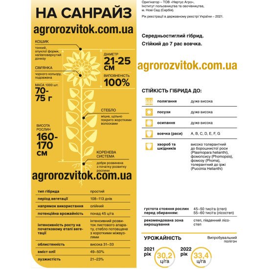 Насіння соняшника НА Санрайз – Технологія СУМО (під Гранстар), 108–113 діб, олійність 49–50%
