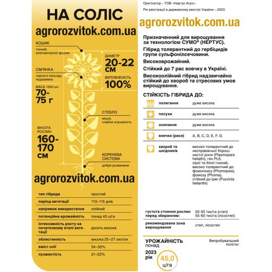 Насіння соняшника НА Соліс – Технологія СУМО (під Гранстар), 113–115 діб, олійність 54–55%