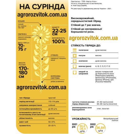 Насіння соняшника НА Сурінда – Технологія СУМО (під Гранстар), 112–114 діб, олійність 50–51%