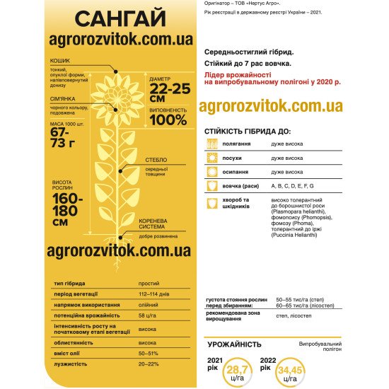 Насіння соняшника Сангай – Технологія СУМО (під Гранстар), 112–114 діб, олійність 50–51%
