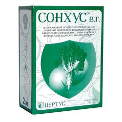 Сонхус