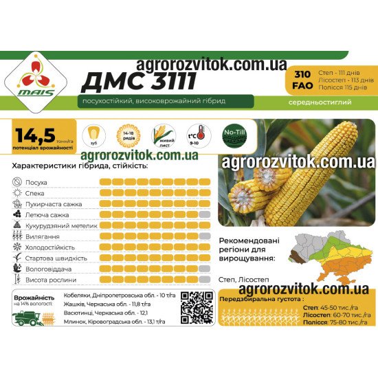 Насіння кукурудзи ДМС 3111 (ФАО 310) – середньостиглий, потенціал 14,5 т/га, рекомендовано для Степ, Лісостеп