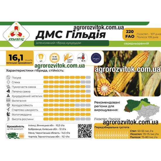 Насіння кукурудзи ДМС Гільдія (ФАО 220) – середньоранній, потенціал 16,1 т/га, рекомендовано для Лісостеп, Полісся