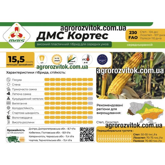 Насіння кукурудзи ДМС Кортес (ФАО 230) – середньоранній, потенціал 15,5 т/га, рекомендовано для Степ, Лісостеп