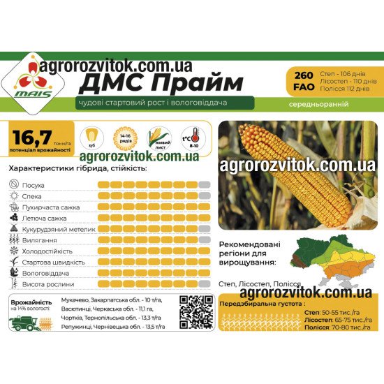 Насіння кукурудзи ДМС Прайм (ФАО 260) – середньоранній, потенціал 16,7 т/га, рекомендовано для Степ, Лісостеп, Полісся