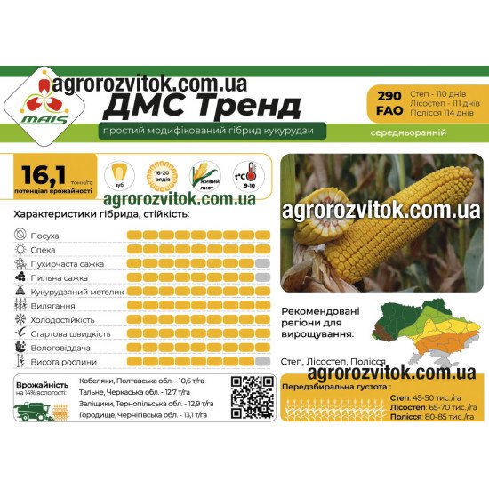 Насіння кукурудзи ДМС Тренд (ФАО 290) – середньоранній, потенціал 16,1 т/га, рекомендовано для Степ, Лісостеп, Полісся