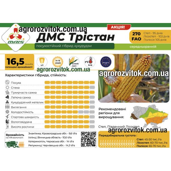 Насіння кукурудзи ДМС Трістан (ФАО 270) – середньоранній, потенціал 16,5 т/га, рекомендовано для Степ, Південний Лісостеп