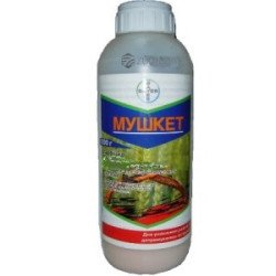 Мушкет