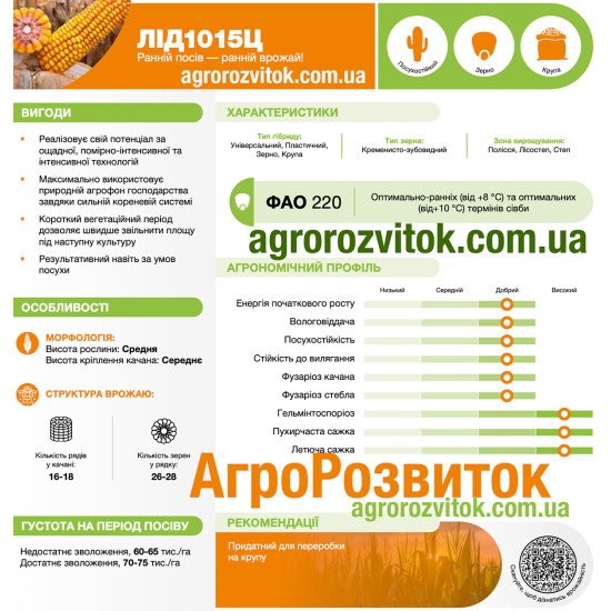 Кукурудза ЛІД 1015 Ц Лідеа - ранній старт та придатність для крупи (ФАО 220)
