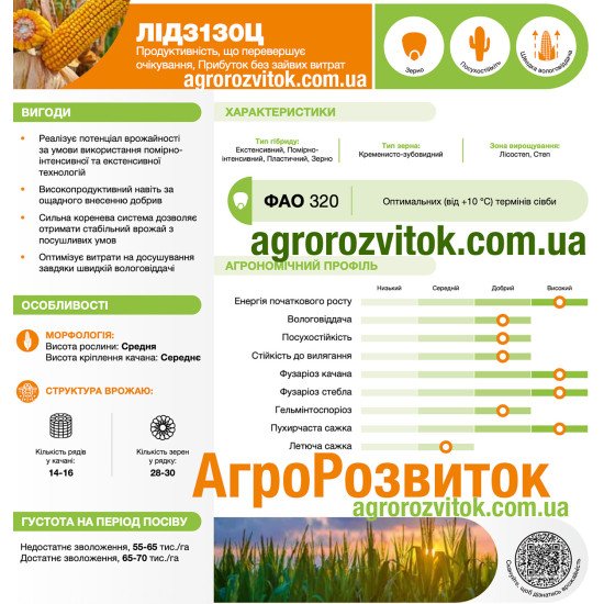 Кукурудза ЛІД 3130 Ц Лідеа - стабільний прибуток з Tropical Dent® (ФАО 310)
