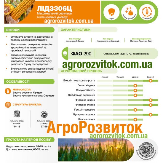 Кукурудза ЛІД 3306 Ц Лідеа - інтенсивний потенціал для рекордних врожаїв (ФАО 280)