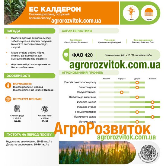 Кукурудза ЕС Калдерон Лідеа - максимальна біомаса та зерно (ФАО 460)