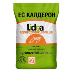 Калдерон