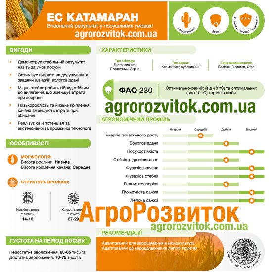 Кукурудза ЕС Катамаран Лідеа - впевнений результат у посушливих умовах (ФАО 230)