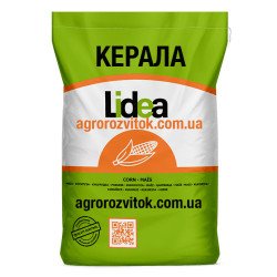 Керала