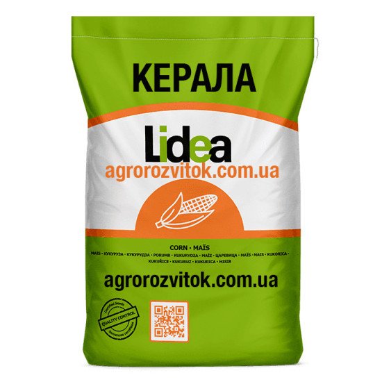 Кукурудза Керала Лідеа - рекордсмен на зрошенні (ФАО 380)