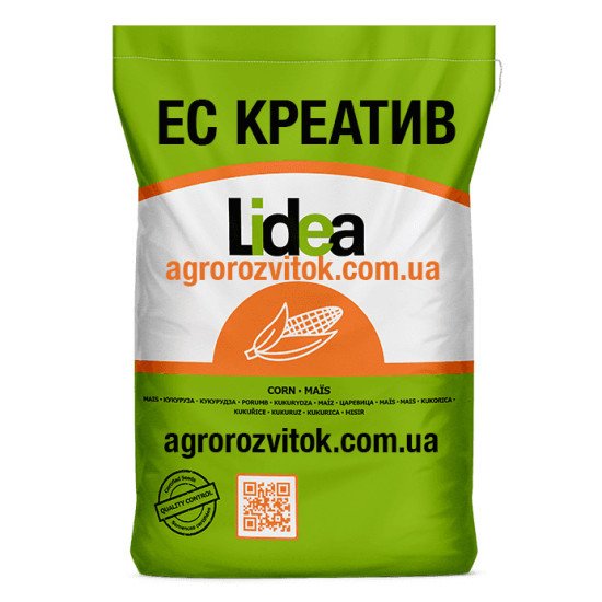 Кукурудза ЕС Креатив Лідеа - посухостійкий еталон стабільності (ФАО 300)