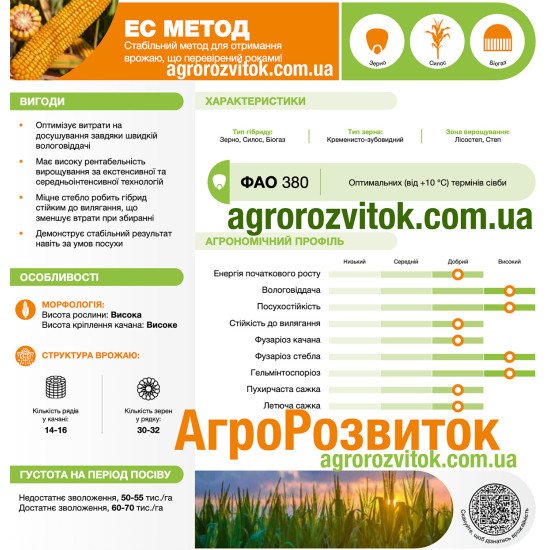 Кукурудза ЕС Метод Лідеа - стабільний метод отримання прибутку (ФАО 380)
