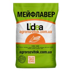 Мейфлавер
