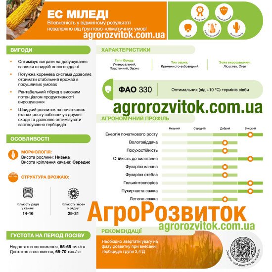 Кукурудза ЕС Міледі Лідеа - інтенсивна леді ваших полів (ФАО 330)