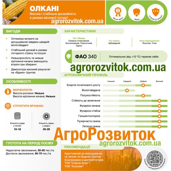Кукурудза Олкані Лідеа - потужний гібрид для високих врожаїв (ФАО 350)