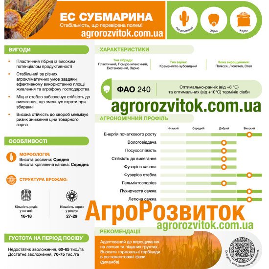 Кукурудза ЕС Субмарина Лідеа - стабільність, перевірена полем (ФАО 240)