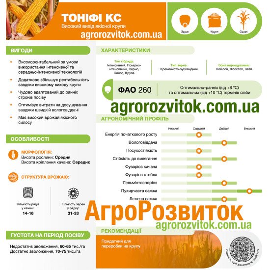 Кукурудза Тоніфі КС Лідеа - якісний силос для високих надоїв (ФАО 240)