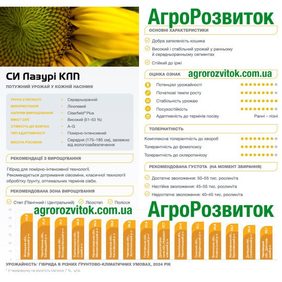 Лазурі Сингента – середньоранній Clearfield® Plus, 51–53% олії, стійкий до вовчка A–G та іржі
