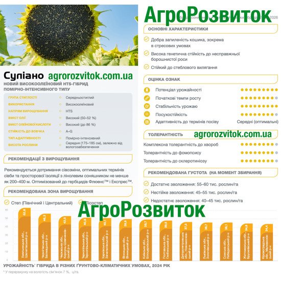 Суліано Сингента – високоолеїновий HTS-гібрид, 50–52% олії, стійкий до вовчка A–G